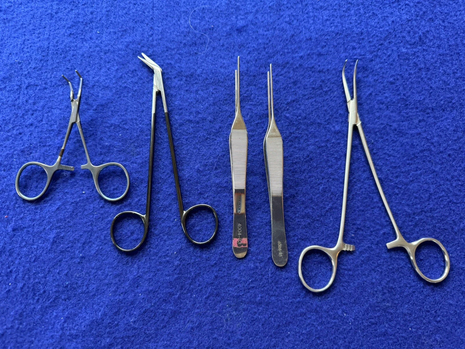 Scanlan Professional Surgical Instruments, Set of 5