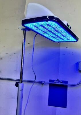 Natus neoBLUE LED Phototherapy Lamp with Stand — Neonatal & Maternity — view 4